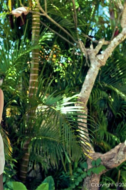 萌宠流浪记（国语版）