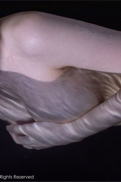 国产清纯白嫩极品